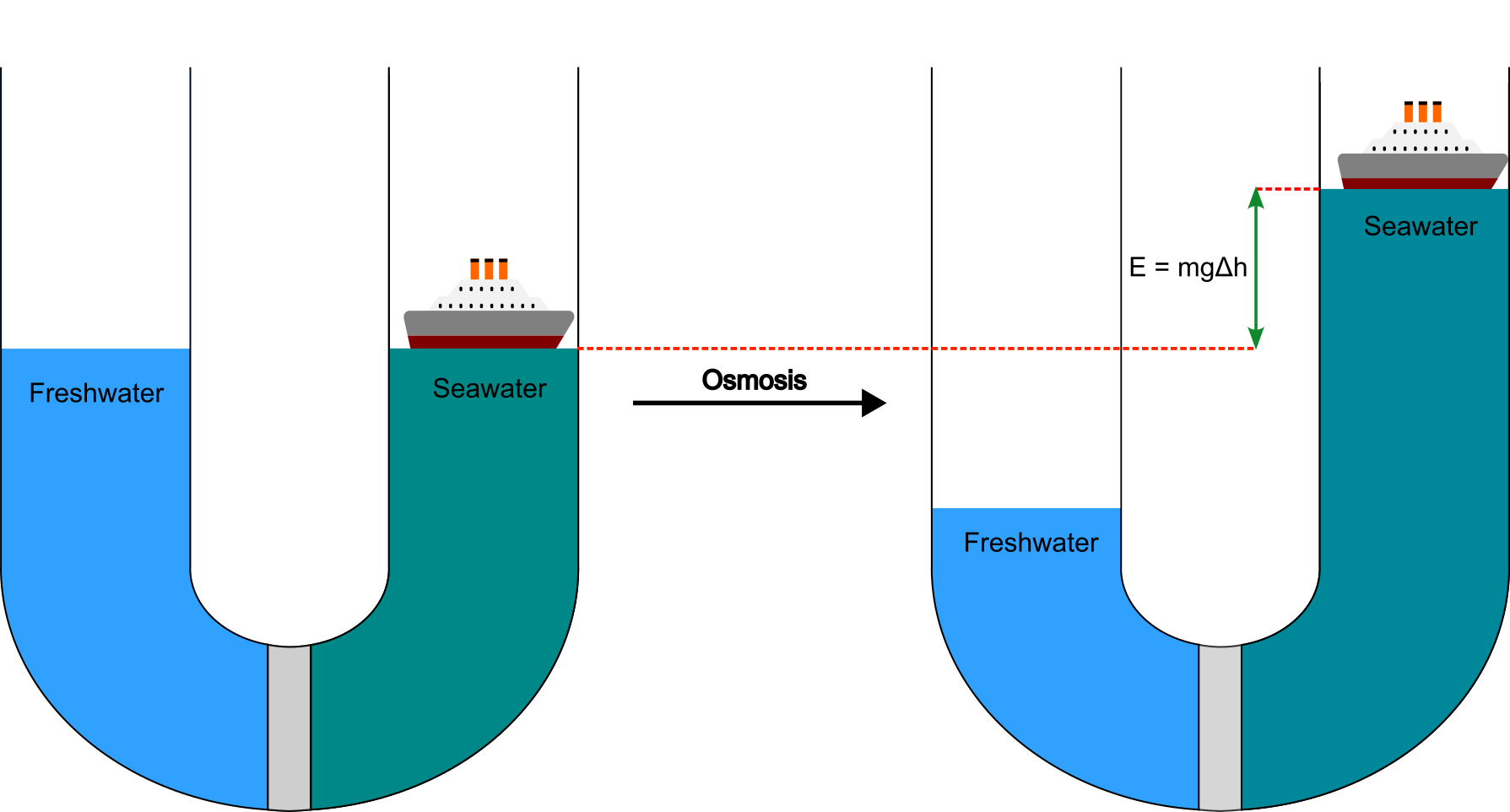 Osmosis work