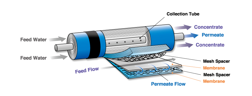 RO membrane cross-section